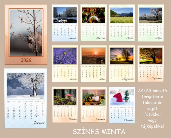 A4,A3 színes minta