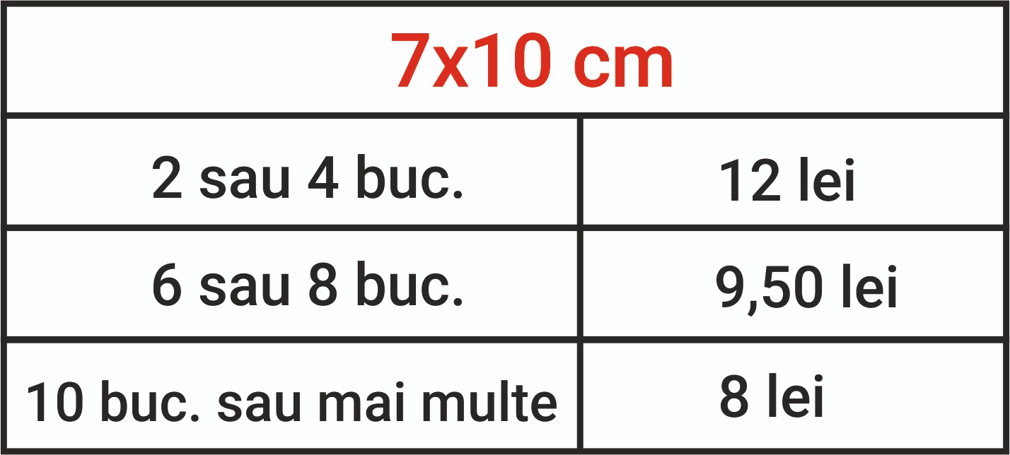 Magnet de frigider (8,00lei - 12,00lei) - imagine 7